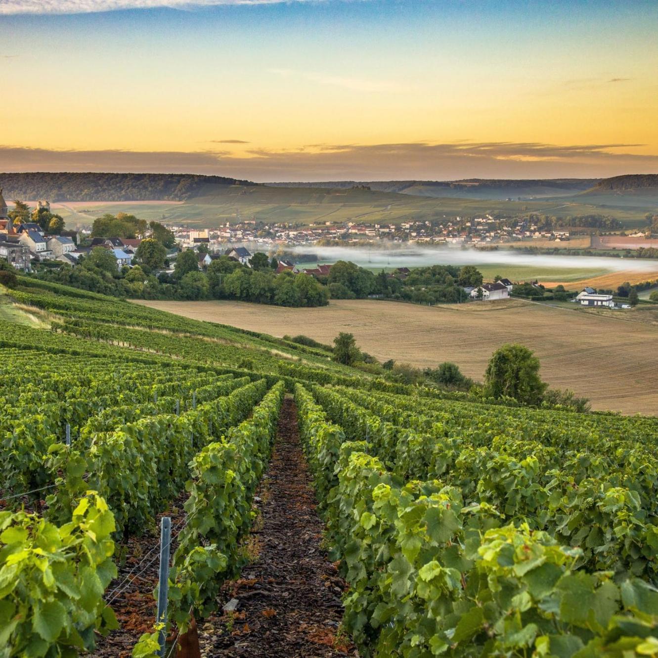 Apartmán Les Bulles De Bonheur - Au Coeur Du Vignoble Champenois Chouilly Exteriér fotografie